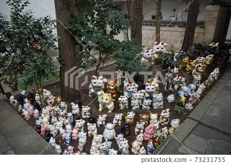 Awashima Shrine Awashima Shrine 73231755