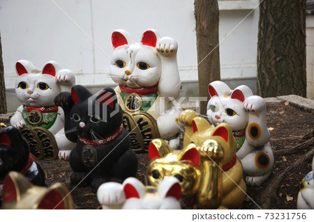 Awashima Shrine 73231756