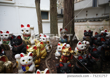 Awashima Shrine Awashima Shrine 73231757