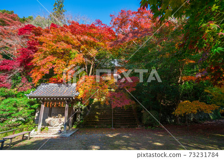 Autumn leaves of Konzoji Temple in Kyoto 73231784