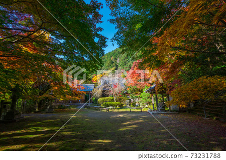 Autumn leaves of Konzoji Temple in Kyoto Autumn leaves of Konzoji Temple in Kyoto 73231788