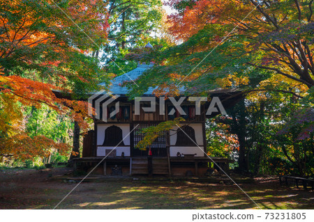 Autumn leaves of Konzoji Temple in Kyoto 73231805