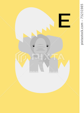 Elephant egg Elephant egg 73231985