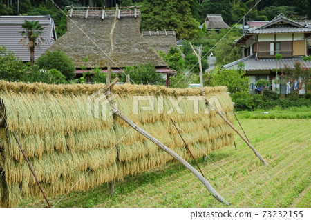 Sun-dried Miyama Kayabuki no Sato Sun-dried Miyama Kayabuki no Sato 73232155