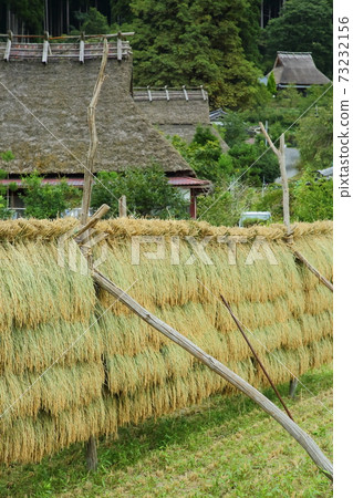 Sun-dried Miyama Kayabuki no Sato Sun-dried Miyama Kayabuki no Sato 73232156
