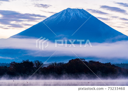 (Yamanashi Prefecture) Dawn of Lake Shoji, Mt. Fuji 73233468