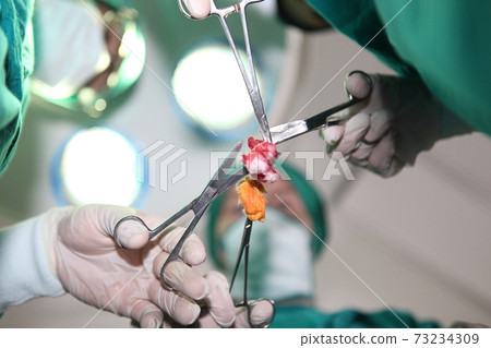 surgery performing operations with surgery equipment in modern hospital operation emergency room, view of over patient with tools surgery performing operations with surgery equipment in modern hospital operation emergency room, view of over patient with tools 73234309