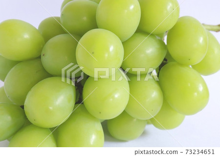 Shine Muscat on a white background Shine Muscat on a white background 73234651