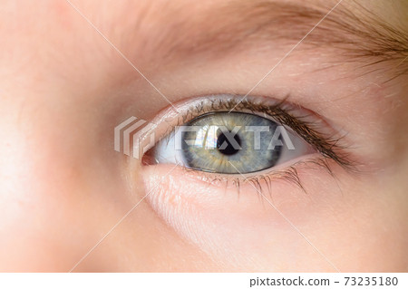 A photo of a gray eye and an eyebrow of a little girl close-up 73235180