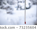 Sub-zero thermometer 73235604