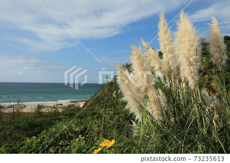 可以俯瞰秋天的天空和大海的蒲葦玻璃（日本島根縣伊豆市） 73235613