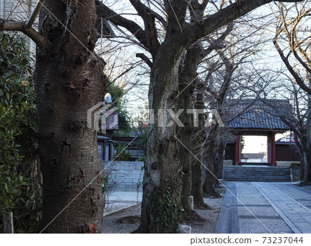 神奈川縣橫濱市金澤區金澤文庫旁邊的與鎌倉幕府有淵源的北條先生 73237044