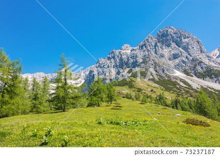View closeup Alpine rocks in National park Dachstein, Austria, Europe 73237187