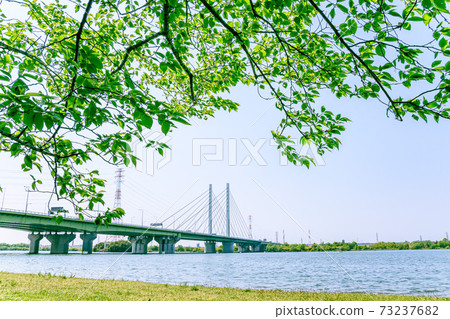 ya湖和鮮綠色（小玉大橋） 73237682