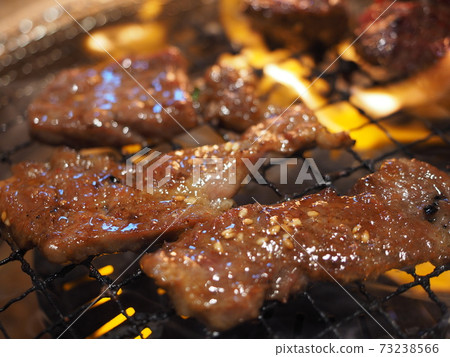 Japanese Black Beef Yakiniku (Kalbi) Japanese Black Beef Yakiniku (Kalbi) 73238566