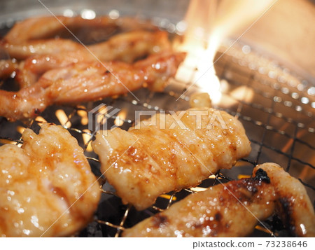 Hormonal Yakiniku (Tecchan) 73238646