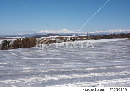 Fields and snowy mountains covered with snow-melting agent on a sunny winter day Daisetsuzan 73239129
