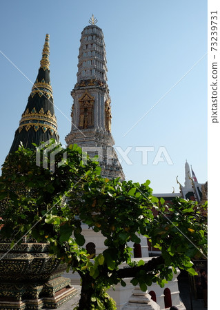A small tree grows near the towers of a Buddhist temple. A small tree grows near the towers of a Buddhist temple. 73239731
