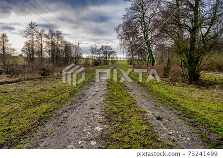 A road and trees on a meadow with an amazing sky in the background. Picture from Lund, Sweden 73241499