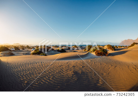 Sandy dunes with plants at sunset in Famara beach, Lanzarote. 73242305