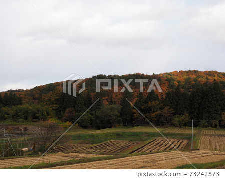Autumnal mountains over a large farmland Autumnal mountains over a large farmland 73242873
