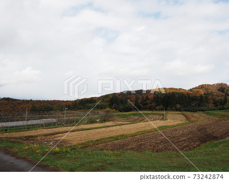 Autumnal mountains over a large farmland Autumnal mountains over a large farmland 73242874
