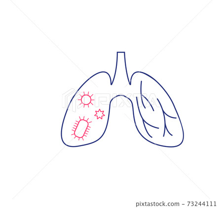 Lungs flat line icon. Vector thin pictogram of human internal organ, outline illustration for pulmonary clinic. Lungs flat line icon. Vector thin pictogram of human internal organ, outline illustration for pulmonary clinic. 73244111
