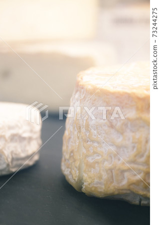 Selection of gourmet cheeses Selection of gourmet cheeses 73244275
