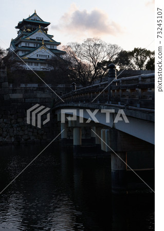 Osaka Castle and a beautiful bridge Osaka Castle and a beautiful bridge 73245107
