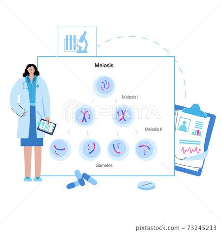 Mitosis process concept 73245213