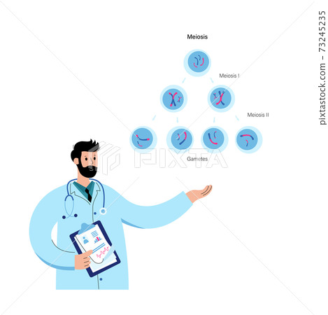 Mitosis process concept 73245235