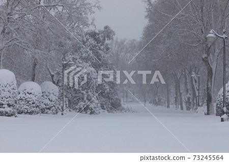 Retiro public park covered with snow and ice, Madrid. Retiro public park covered with snow and ice, Madrid. 73245564