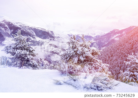 Beautiful winter landscape in the french Alps. Magical mountain purple sunset on ski resort . Christmas time. 73245629