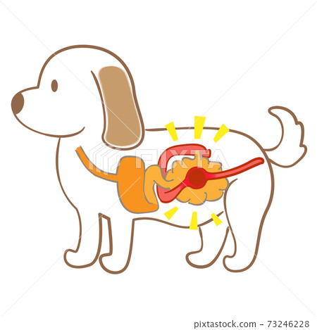 Dog intestinal obstruction pet illness illustration material 73246228
