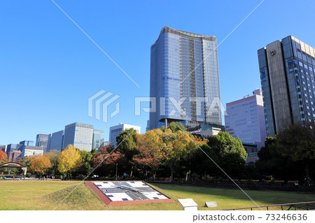 東京日比谷公園的秋天 第二朵花床 照片素材 圖片 圖庫