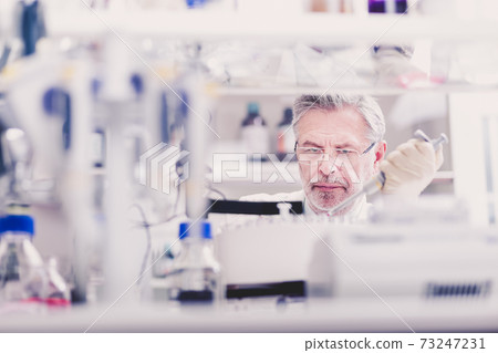 Senior male life scientist researching in the laboratory. Senior male life scientist researching in the laboratory. 73247231