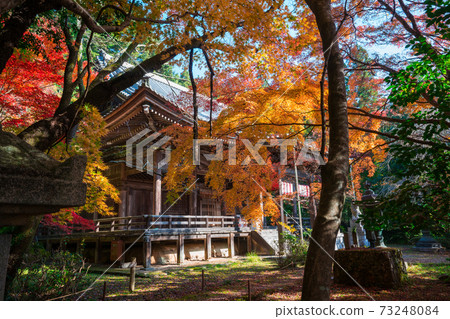 Autumn leaves of Konzoji Temple in Kyoto Autumn leaves of Konzoji Temple in Kyoto 73248084
