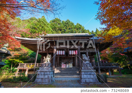 Autumn leaves of Konzoji Temple in Kyoto 73248089