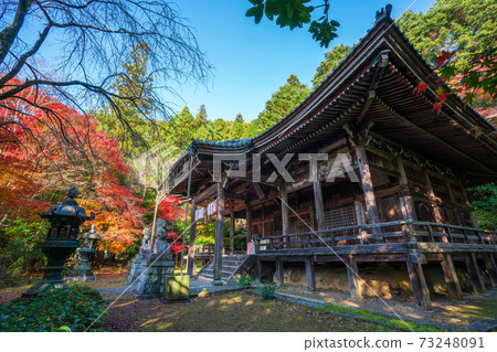 Autumn leaves of Konzoji Temple in Kyoto Autumn leaves of Konzoji Temple in Kyoto 73248091