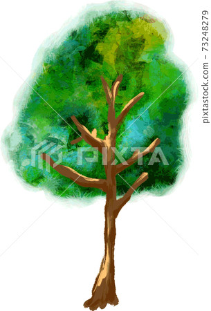 木紋 木紋 73248279