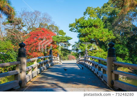 高倉橋和秋葉在京都御苑的九條池塘上 73248280