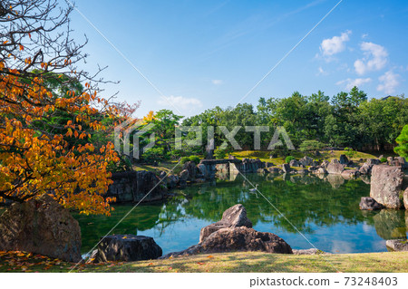 京都紅葉二條城的Ninomaru花園 73248403