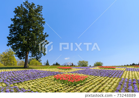 俯瞰小山泉的花山 俯瞰小山泉的花山 73248889