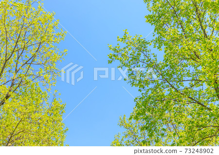 Fresh green turquoise frame 73248902