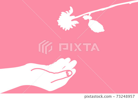 Illustration of a hand trying to receive a single rose [pink background] 73248957