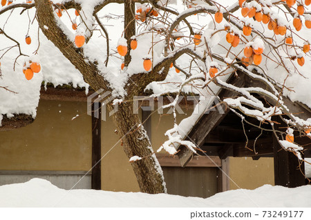 Samurai residence in the middle of the Edo period (snow scene) 73249177