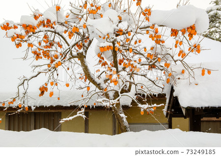 江戶時代中期的武士住宅（雪景） 73249185