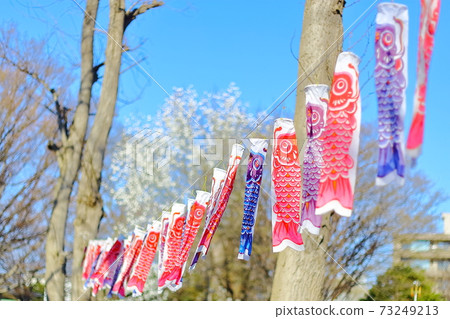 鯉魚飄帶在公園裡 鯉魚飄帶在公園裡 73249213