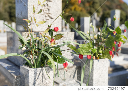 A visit to a grave 73249497