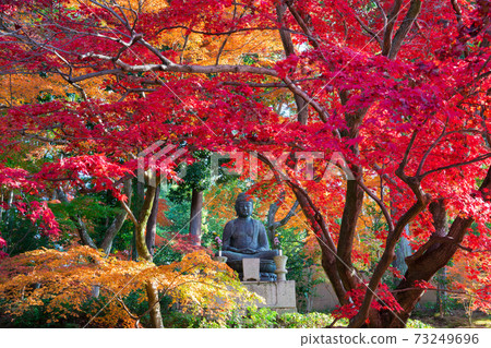 Autumn leaves of Eishoin Temple, the tower temple of Konkai Komyoji Temple in Kyoto 73249696